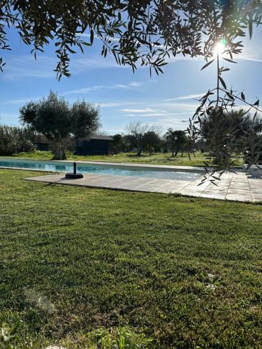 a swimming pool in a park with a grass field at Monte das Hortas Velhas in Viana do Alentejo