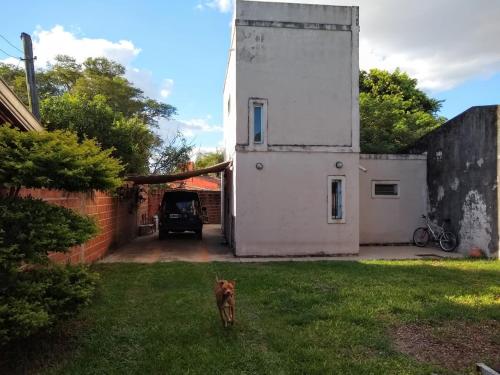 un chien debout dans l'herbe devant une maison dans l'établissement Rincon del Descanso PA, à Corrientes
