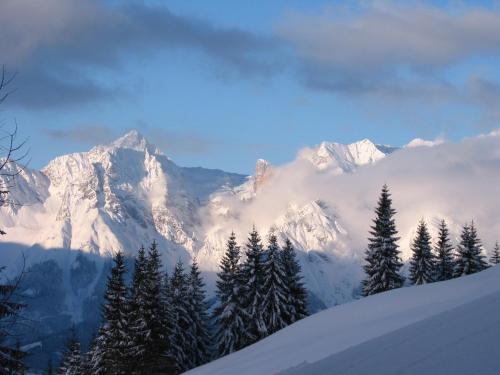 a snowy mountain range with trees and snow covered mountains at Haus Stablerkrämer in Maria Alm am Steinernen Meer