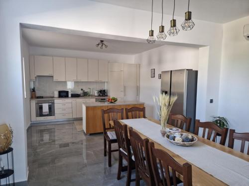 a kitchen and dining room with a table and chairs at Villa JaNi in Donja Jagodnja