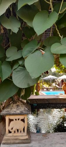 Κήπος έξω από το Pasak River House