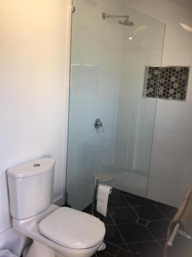 ein Bad mit einem WC und einer Dusche in der Unterkunft Studio on Denne in Tamworth