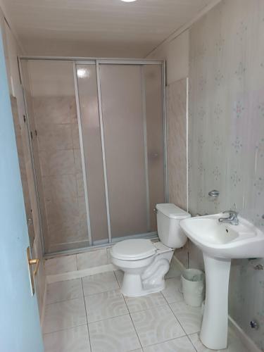 a bathroom with a toilet and a shower and a sink at Cabaña Interior con entrada independiente in Osorno