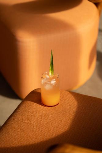 a candle with a green leaf sticking out of it at Menjaga Bay in Labuan Bajo