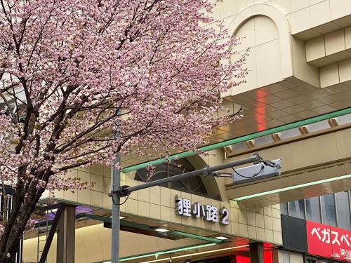 Fotografie z fotogalerie ubytování Mercure Sapporo v destinaci Sapporo