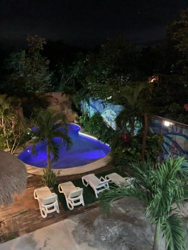 an outdoor swimming pool at night with chairs and palm trees at Casa Delfín Tulum in Macario Gomez