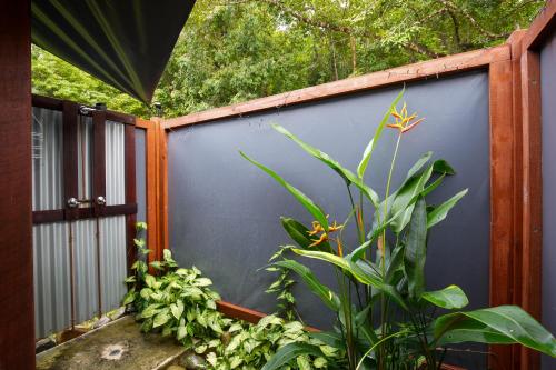 a blue fence with a plant in front of it at Noah Creek Eco Huts in Cape Tribulation