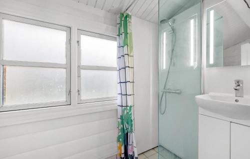 ein Bad mit einer Dusche und einem Waschbecken in der Unterkunft Pet Friendly Home In Tisvildeleje With Wifi in Tisvildeleje