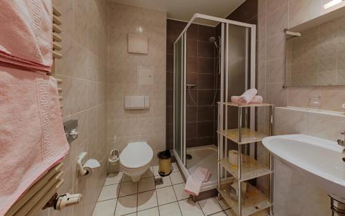 ein Bad mit einer Dusche, einem WC und einem Waschbecken in der Unterkunft Hotel "Am Werl" in Bad Saarow