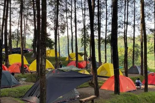a group of tents in a field with trees at ALAM RAYA CAMP in Curug 1