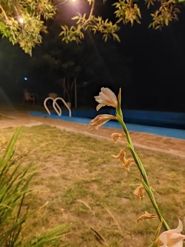 La escondida – Photos 2
