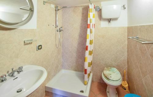een badkamer met een douche, een wastafel en een toilet bij Awesome Home In Morlesco With Wifi in Morleschio