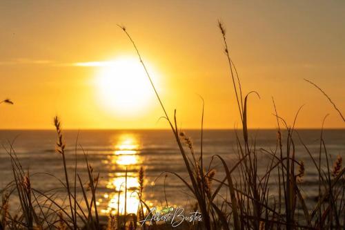 a sunset on the beach with a bird flying at Guaitil Chorotega House, acogedora y tranquila in Santa Cruz