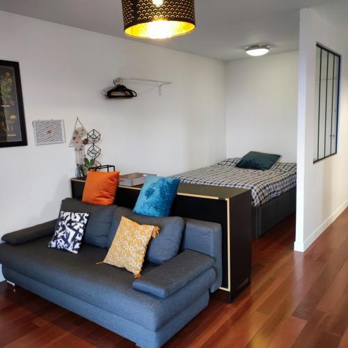 un salon avec un canapé et un lit dans l'établissement Gagny hyper centre, proche RER, Grand studio tout équipé, à Gagny
