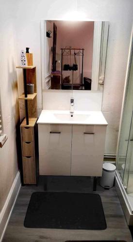 une salle de bain avec un lavabo blanc et un miroir dans l'établissement Studio Yannick, à Vittel