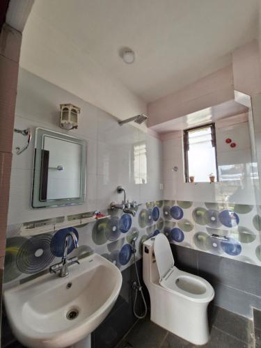 a bathroom with a sink and a toilet and a mirror at Tandukar Homestay in Pātan