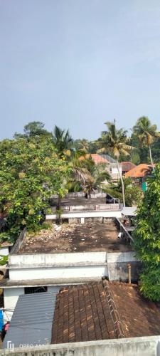 a group of benches with palm trees in the background at Marari Moriyah Homestay in Mararikulam