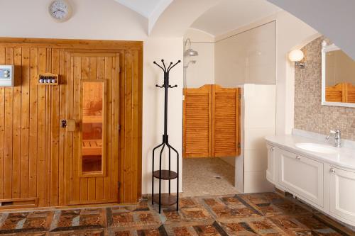 a bathroom with a shower and a sink and a mirror at Schloss Groß Lüsewitz in Groß Lüsewitz