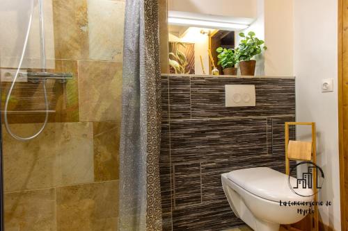 a bathroom with a shower with a toilet and a sink at The Nest, parking, centre, vue sur la Cathédrale in Albi