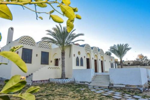 قرية تونس في Tunis: مبنى ابيض امامه اشجار النخيل