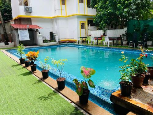 a swimming pool with potted plants next to a building at The merit resort in Arpora