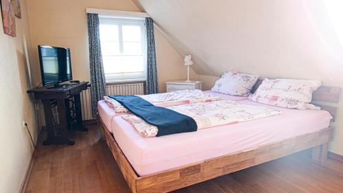 a bedroom with a bed with a television and a window at Landhaus Müden in Faßberg