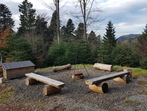 a group of logs sitting on top of a field at TrekkingCamp Himmelsterrassen in Bad Peterstal-Griesbach