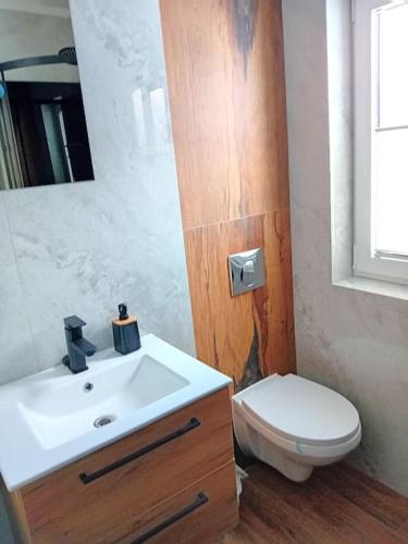 a bathroom with a white sink and a toilet at Domek u Anitki i Nikosia in Jeleśnia