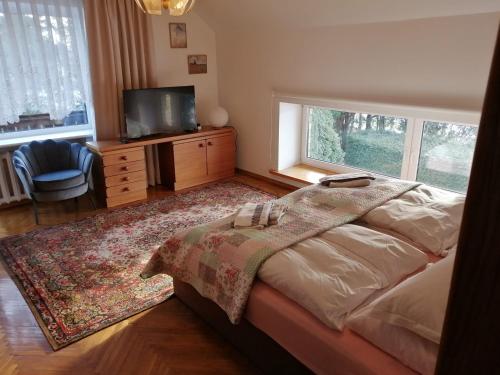 een slaapkamer met een bed en een televisie en een tapijt bij Ramus poilsis prie Širvintų marių in Širvintos