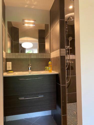 ein Bad mit einem Waschbecken und einer Dusche mit einem Spiegel in der Unterkunft La Grange de Camille in Loupiac
