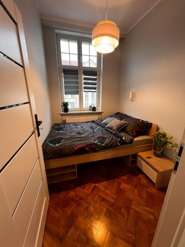 1 dormitorio con 1 cama en una habitación con ventana en Apartamenty In Centro by 3 maja, en Gniezno