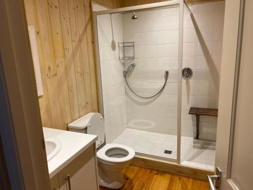 a bathroom with a shower and a toilet and a sink at Loerie Lodge in Keurboomstrand