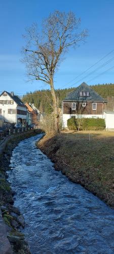 a stream of water with houses and a tree at Pension am Bach in Stützerbach