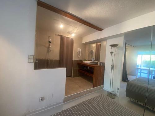 une salle de bain avec une douche, un lavabo et un miroir dans l'établissement Villa 181, Port Nature, au village naturiste, au Cap d'Agde