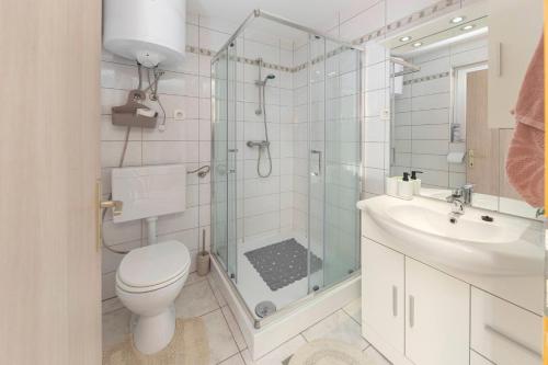 a bathroom with a shower and a toilet and a sink at Zidanica med Trtami in Dvor
