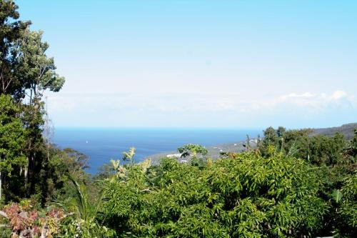 a view of the ocean from a hill with trees at Ô'Bèl Ter in Pointe-Noire