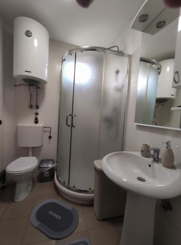 ein Bad mit einer Dusche, einem WC und einem Waschbecken in der Unterkunft Prenoćište Lana in Novi Banovci