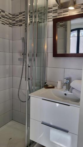 ein Bad mit einer Dusche und einem Waschbecken in der Unterkunft Auberge de la Table Ronde in Vinon-sur-Verdon