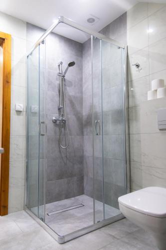 a glass shower stall in a bathroom with a toilet at Buczylas Siedlisko in Tuchomie