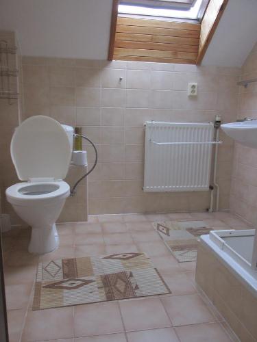 a bathroom with a toilet and a sink and a tub at Dum Eva in Janske Lazne