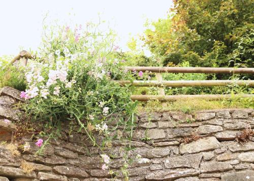 a stone wall with a bunch of flowers on it at Pet-Friendly Logburner Horse Stable Views in Hay-on-Wye