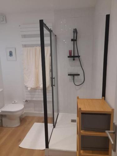 une salle de bain avec douche et toilettes dans l'établissement Grand, clair, central, élégant, 2 chambres, 5 minutes de la gare, à Limoges
