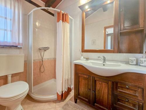 La salle de bains est pourvue d'un lavabo, de toilettes et d'une douche. dans l'établissement Santo Two, à Novigrad