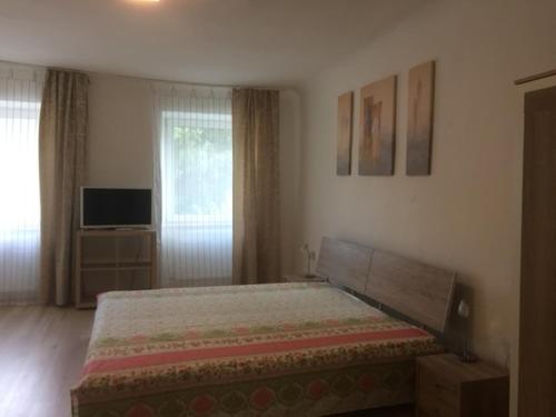 1 dormitorio con 1 cama grande y TV en Spitz West en Spitz