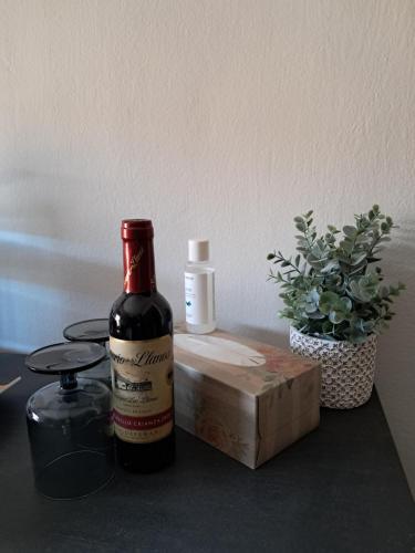 eine Flasche Wein neben einer Schachtel und einer Pflanze in der Unterkunft Alojamiento Boutique B&B ENSUEÑO in Alcublas