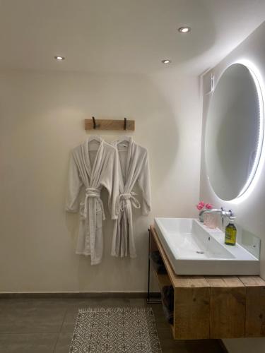 a bathroom with a sink and a mirror at Tiny House De Oude Berg in Bergen