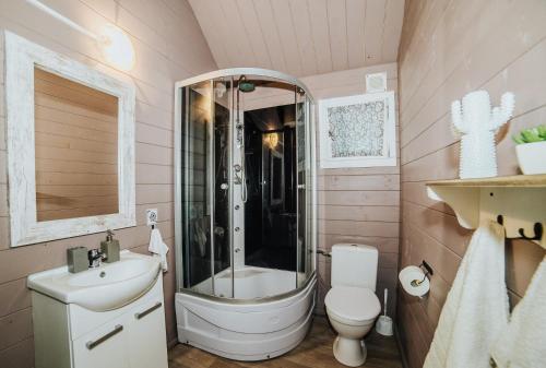 a bathroom with a shower and a toilet and a sink at Maciejka in Rusinowo