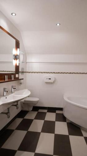 a bathroom with a sink and a toilet and a mirror at Suite 1 - Krems an der Donau in Rossatz