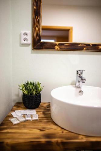 a bathroom with a white sink and a mirror at Pension Vyhlídka in Klášterec nad Ohří