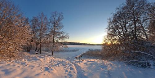 a snow covered field with trees and a body of water at Mindfulness Homestay in Espoo in Espoo